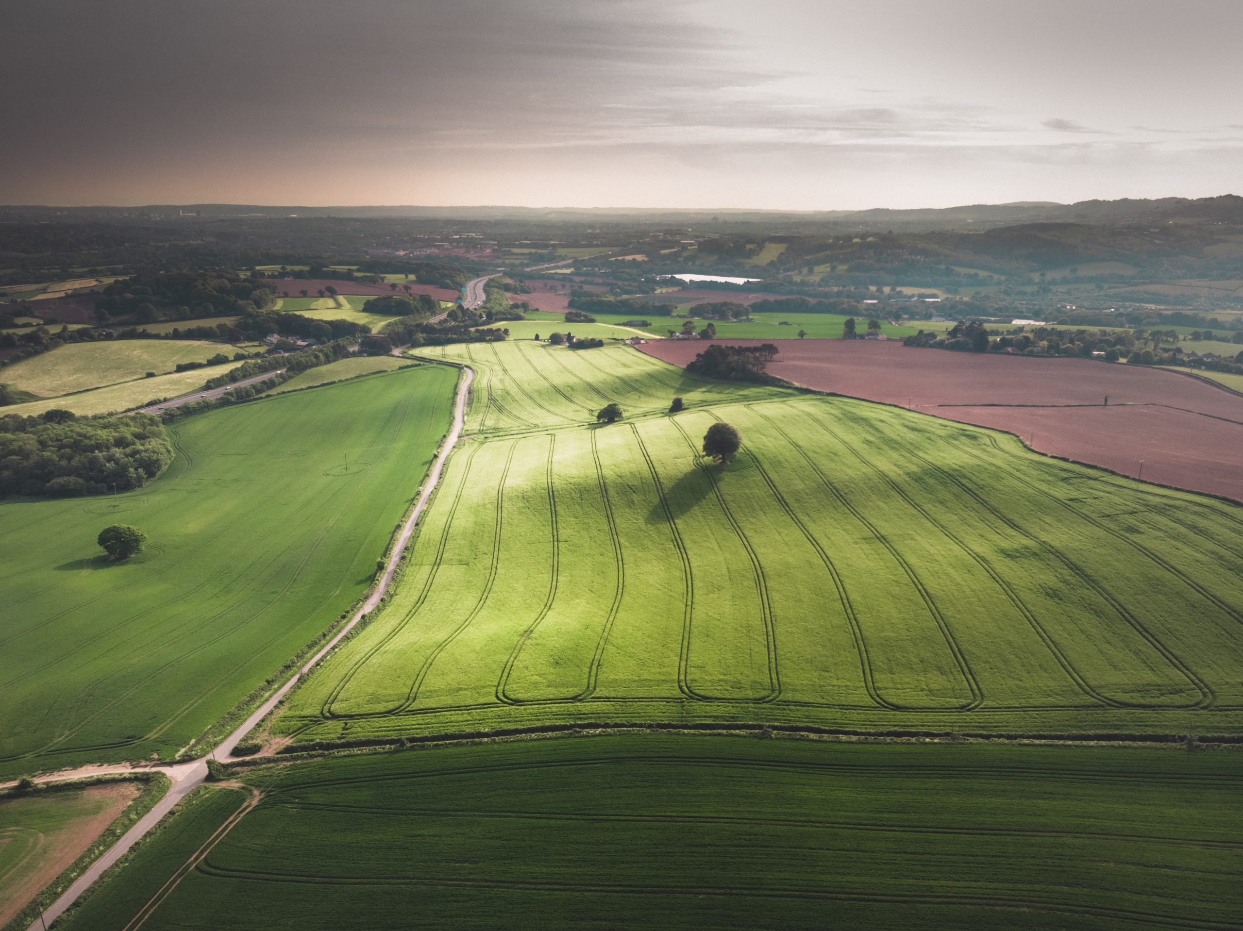 aerial shot of a beautiful green field with trees under a gray sky